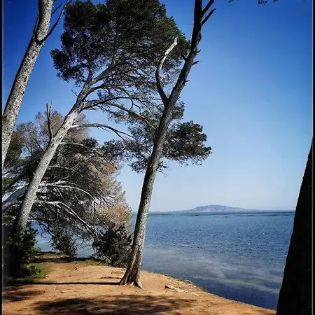 Le Moth Marseillan Lejlighed Marseillan (Herault)